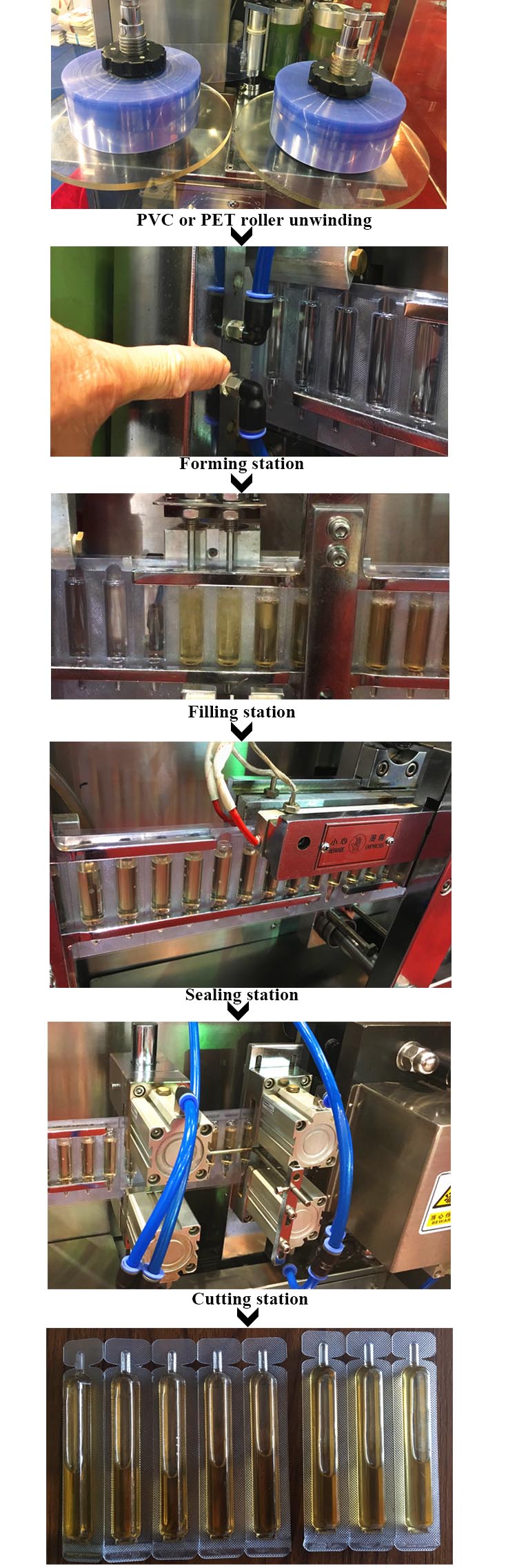 Processus de produit de la machine &agrave; sceller en plastique Ampoule en plastique